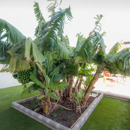 Carolina With Private Pool Villa *